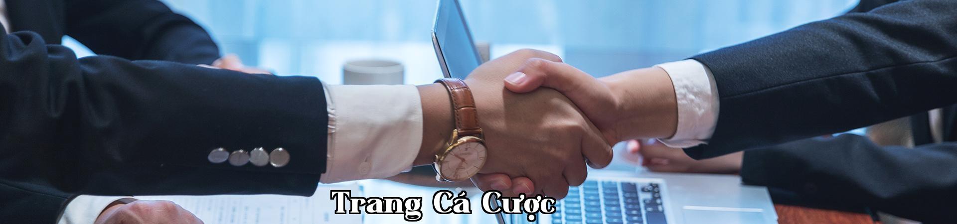 Liên hệ chúng tôi